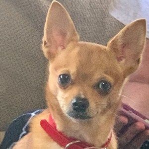 Meet your Posher, Caryn